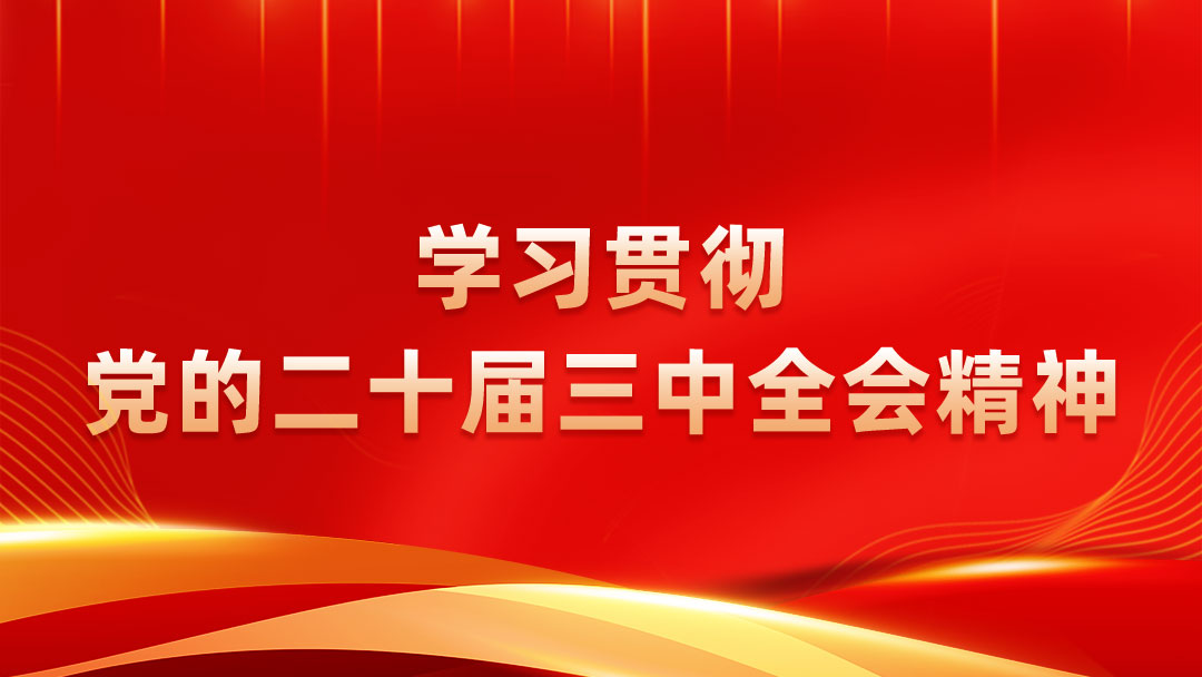 學(xué)習(xí)宣傳貫徹黨的二十屆三中全會精神