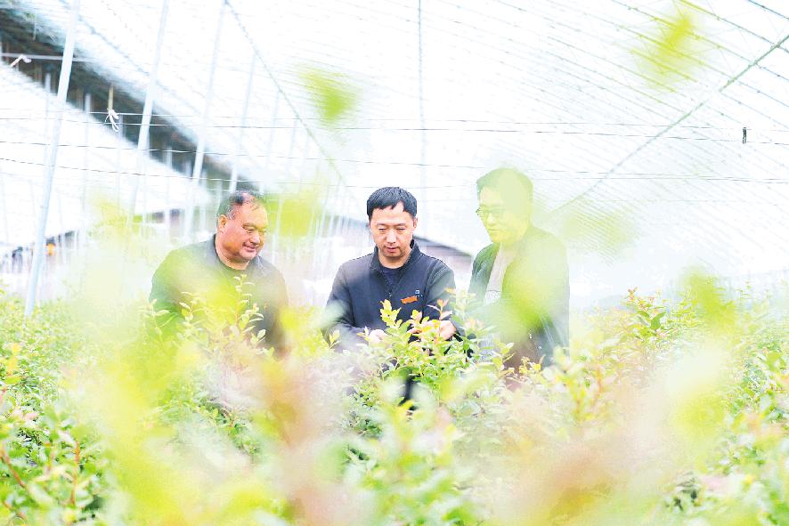 扎根田間地頭 建設(shè)富美鄉(xiāng)村